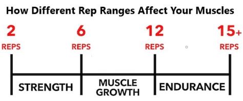 are rep ranges a myth